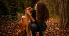avatar petsitter