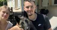 avatar petsitter
