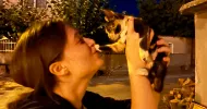 avatar petsitter