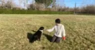 avatar petsitter