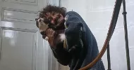 avatar petsitter