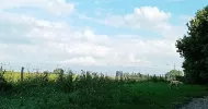 avatar petsitter