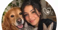 avatar petsitter