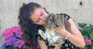 avatar petsitter