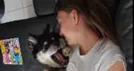 avatar petsitter