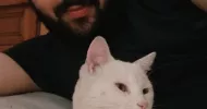 avatar petsitter
