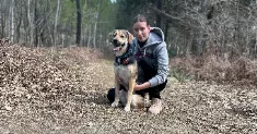 avatar petsitter