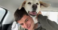 avatar petsitter