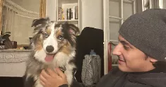 avatar petsitter