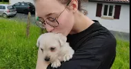 avatar petsitter