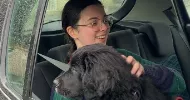avatar petsitter