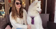 avatar petsitter