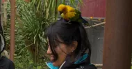 avatar petsitter