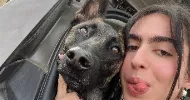 avatar petsitter