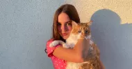avatar petsitter