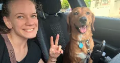 avatar petsitter