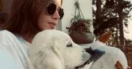avatar petsitter