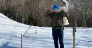 avatar petsitter