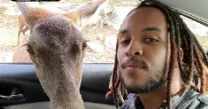 avatar petsitter