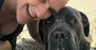 avatar petsitter