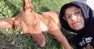 avatar petsitter