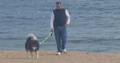 avatar petsitter