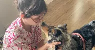avatar petsitter