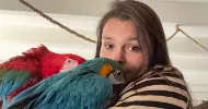 avatar petsitter