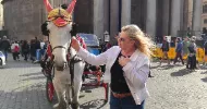 avatar petsitter