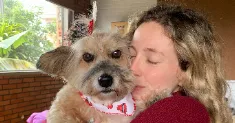 avatar petsitter