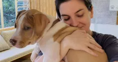 avatar petsitter