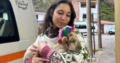 avatar petsitter