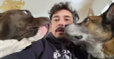 avatar petsitter