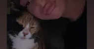 avatar petsitter