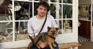 avatar petsitter