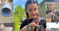 avatar petsitter