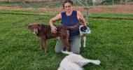 avatar petsitter