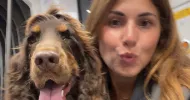 avatar petsitter