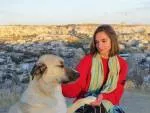 avatar petsitter