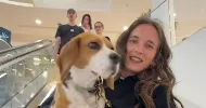 avatar petsitter