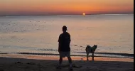 avatar petsitter