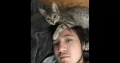 avatar petsitter