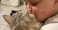 avatar petsitter