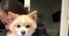 avatar petsitter
