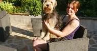 avatar petsitter