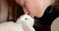 avatar petsitter