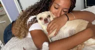 avatar petsitter