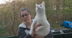 avatar petsitter