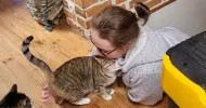 avatar petsitter