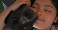 avatar petsitter